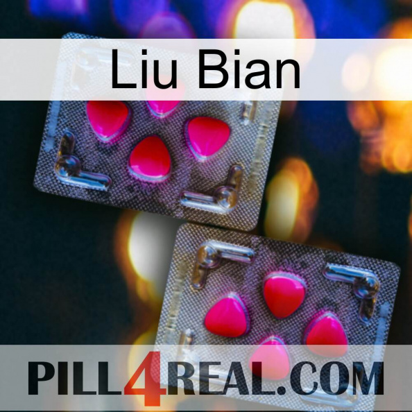 Liu Bian 15